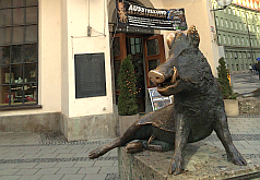 Deutsches Jagd- und Fischereimuseum